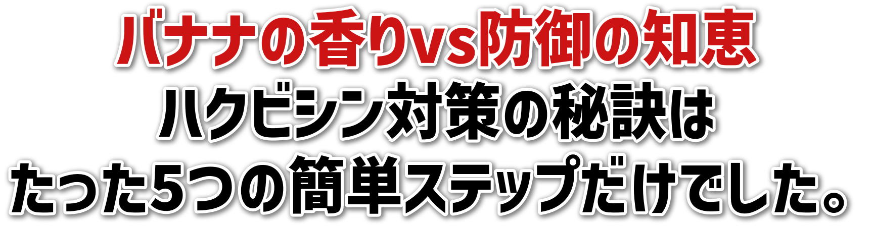 oii̍vsh̒mb<br>nNrV΍̔錍<br>5̊ȒPXebvłB