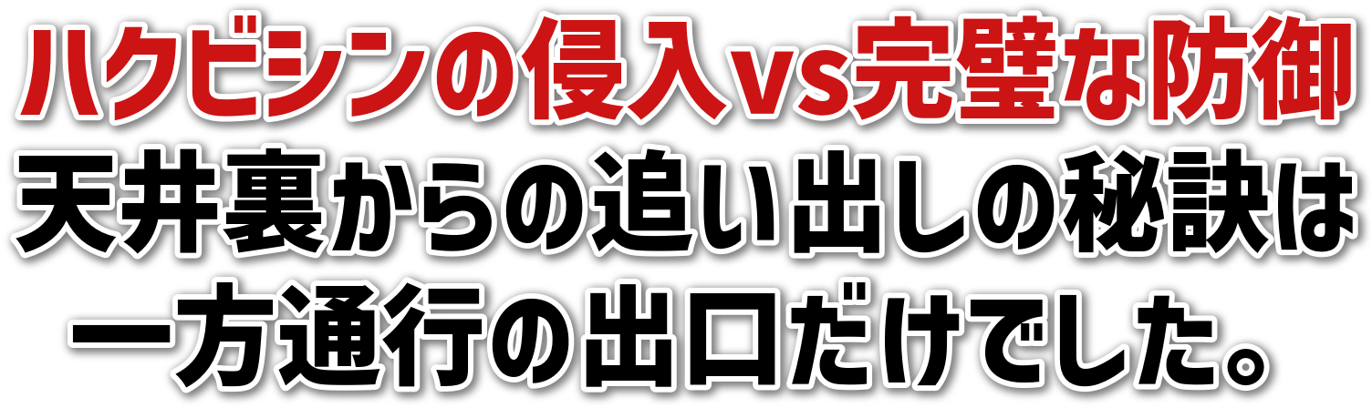 nNrV̐NvsȖh<br>V䗠̒ǂo̔錍<br>ʍs̏ołB