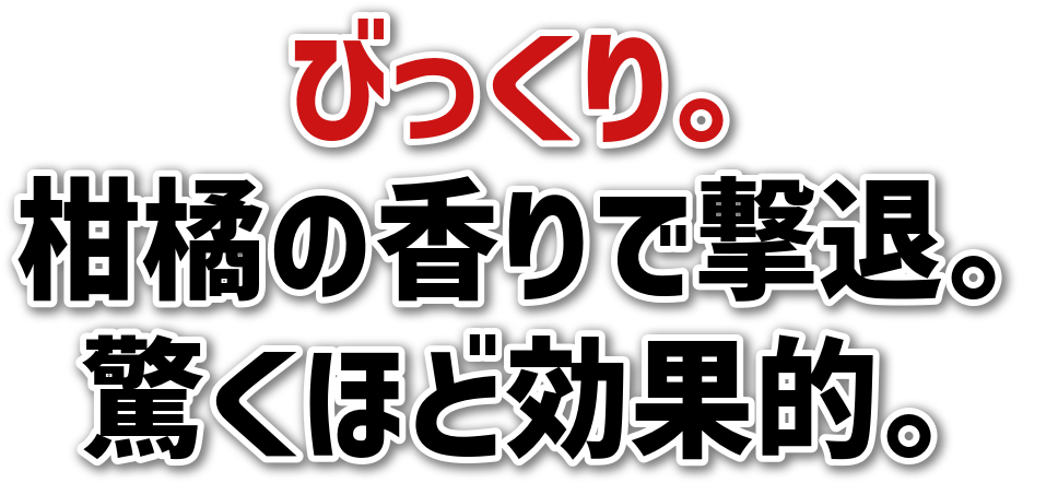 тB<br>k̍ŌށB<br>قǌʓIB