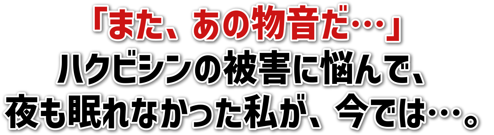 「また、あの物音だ…」<br>ハクビシンの被害に悩んで、<br>夜も眠れなかった私が、今では…。