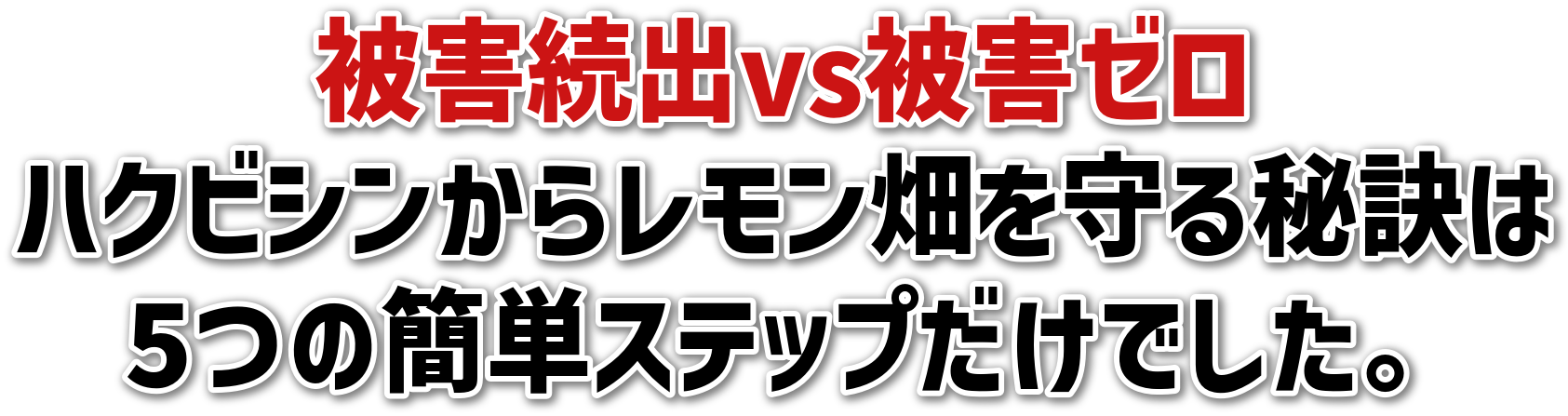 QovsQ[<br>nNrV烌錍<br>5̊ȒPXebvłB