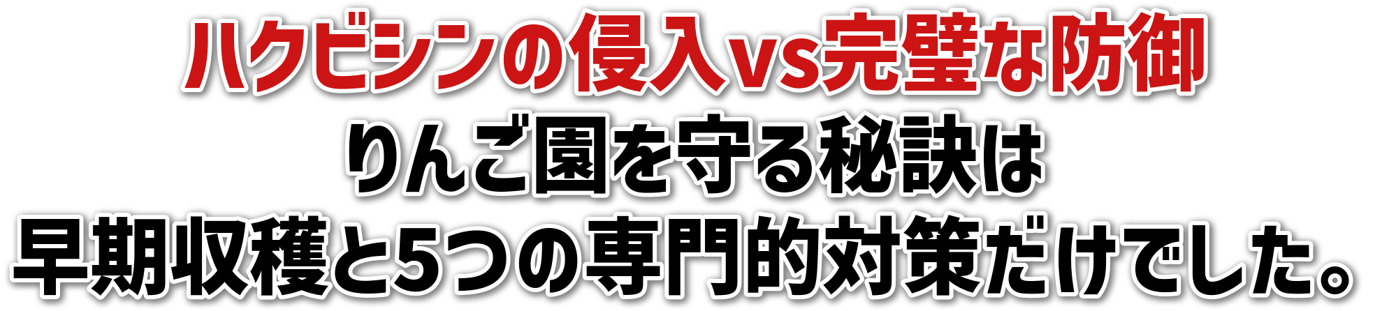 nNrV̐NvsȖh<br>񂲉錍<br>n5̐I΍􂾂łB