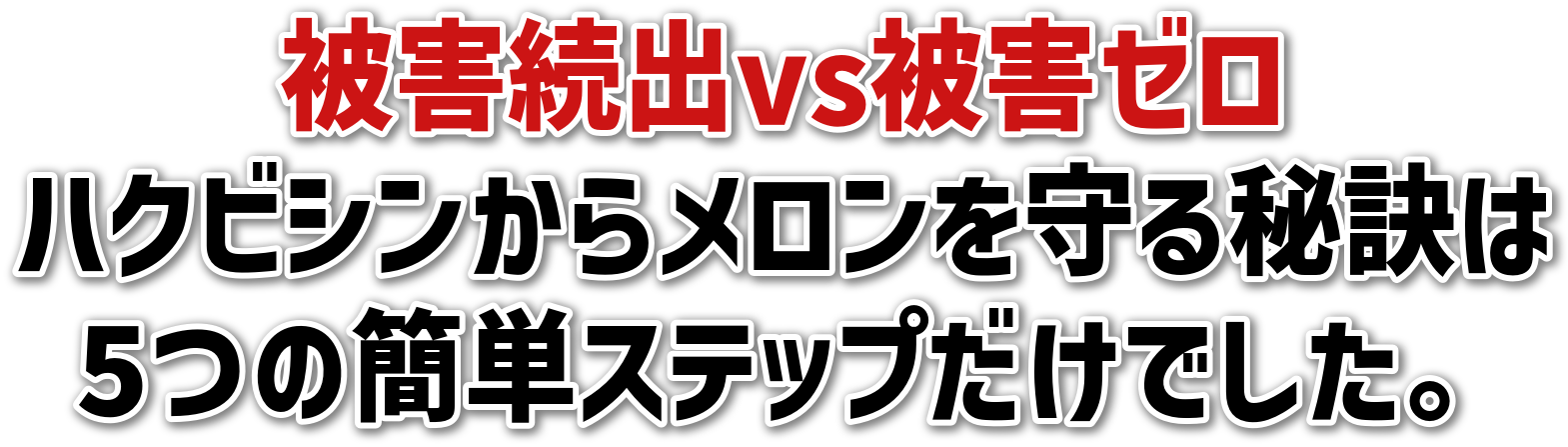 被害続出vs被害ゼロ<br>ハクビシンからメロンを守る秘訣は<br>5つの簡単ステップだけでした。