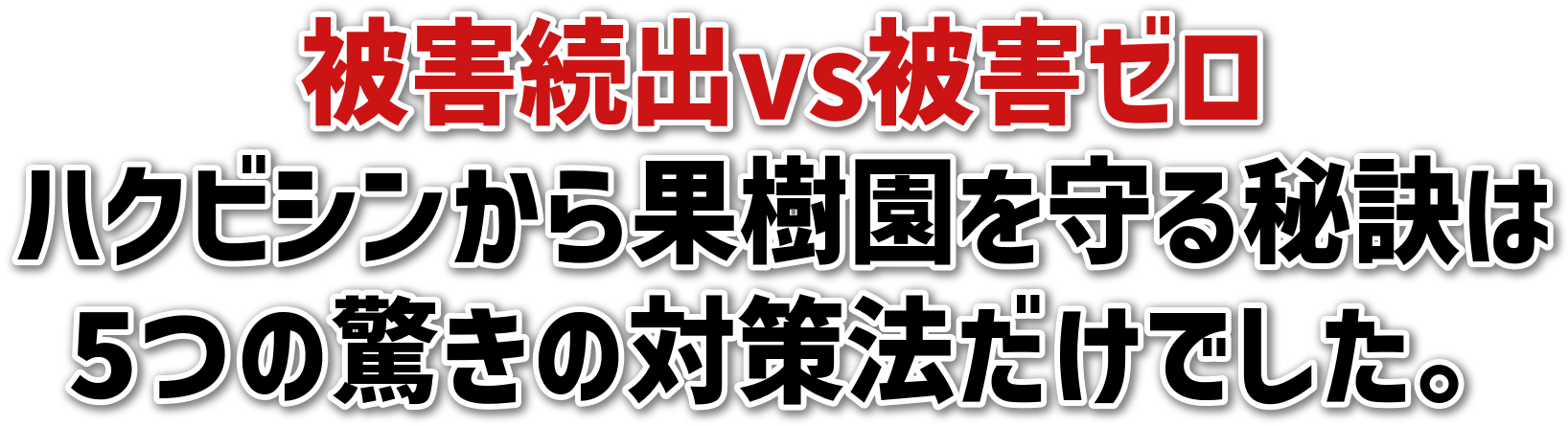 QovsQ[<br>nNrVʎ錍<br>5̋̑΍@łB