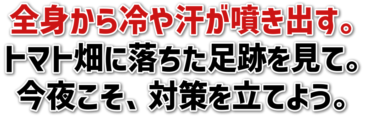 Sg⊾oB<br>g}gɗՂāB<br>邱A΍𗧂Ă悤B